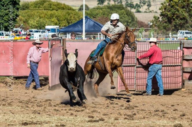 campdraft jenny schorta photography 2016