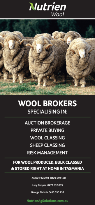 Screen Shot 2023-02-15 at 8.26.54 pm